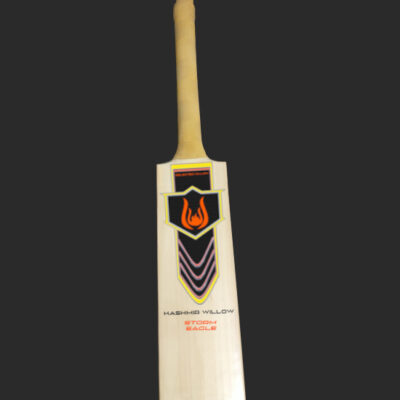 kashmir willow cricket bat storm eagle