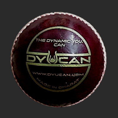 cricket leather ball oryn
