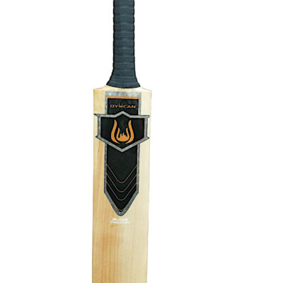 DYUCAN Blaze Falcon Kashmir Willow cricket bat front view